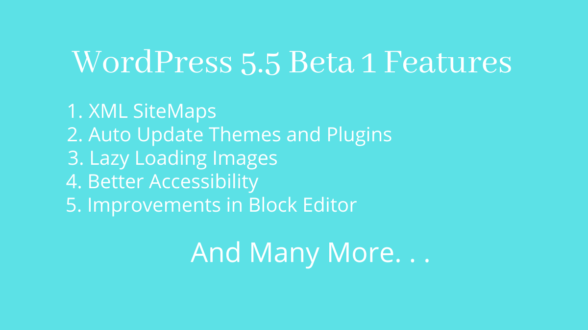 WordPress 5.5 Beta 1 features